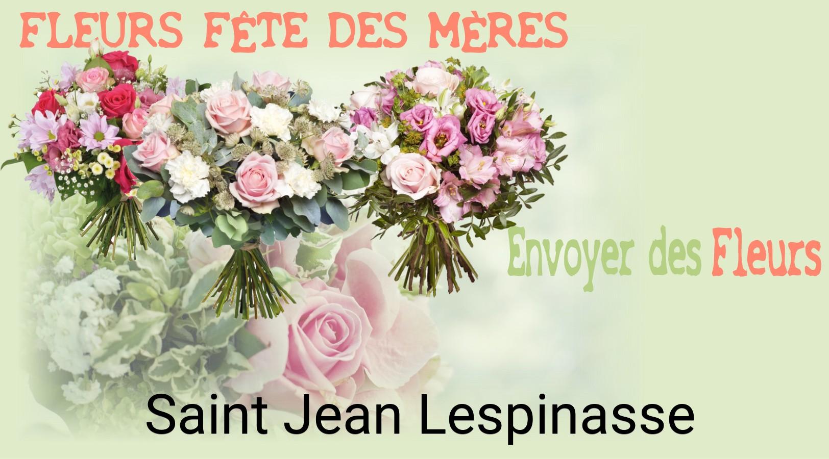 Bouquet de Fête des Mères livré à Saint-Jean-Lespinasse